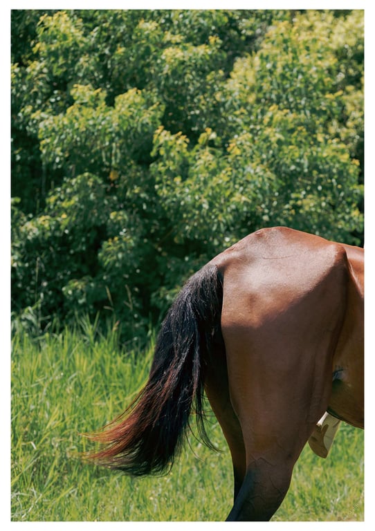 图片[106]-#與你襄遇 林襄數位寫真(2021-05-03) - 全本免费在线观看-阅图吧