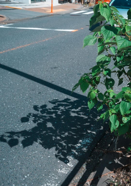 图片[19]-#極致 裸体写真集 (Wunder_Publishing_House.) - 全本免费在线观看-阅图吧