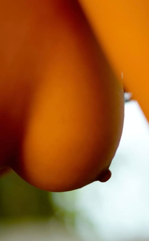 图片[50]-#Anna Hashimoto 桥本安娜 – NUDE PHOTO BOOK 010 (2015-11-26) - 全本免费在线观看-阅图吧