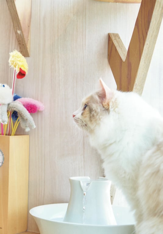 图片[58]-#Saito Kyoko 1st Photobook - 全本免费在线观看-阅图吧