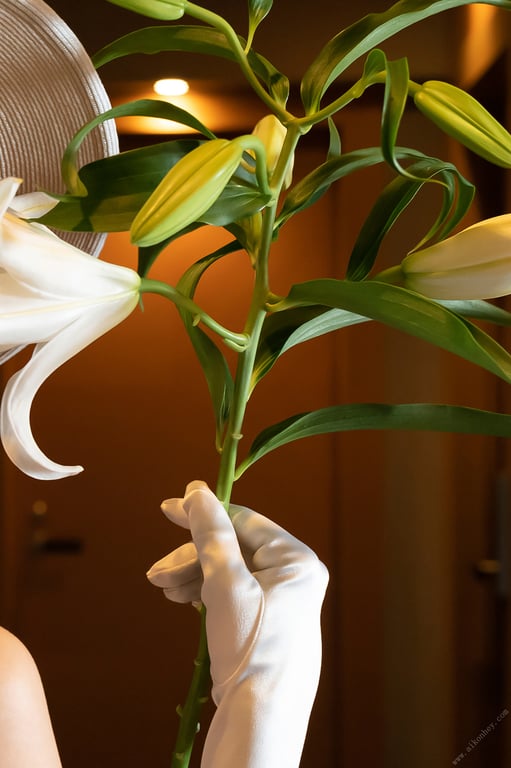 图片[6]-#週刊現代デジタル写真集【寫真文學館】豊田ルナ×Fitzgerald「The Great Gatsby」(2023-12-27) - 全本免费在线观看-阅图吧