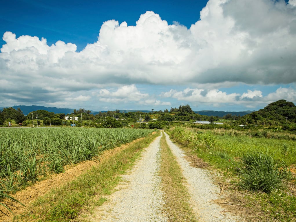 图片[2]-Sarina Momonaga 百永纱里奈 - Sarina ～That day, on the island of everlasting summer～ ～那天，在常夏之岛上～ - 在线免费观看-阅图吧