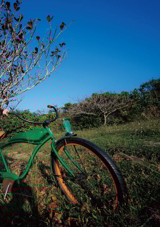 图片[76]-#青山真麻写真集「坦诚相见」 - 全本免费在线观看-阅图吧