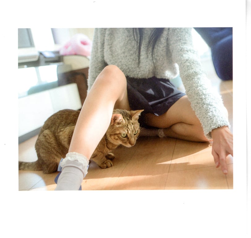 图片[15]-#青山裕企 Photobook 26sets\【青山裕企】猫与大腿 - 全本免费在线观看-阅图吧