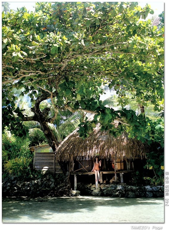 图片[9]-#原史奈 – f.h - 全本免费在线观看-阅图吧