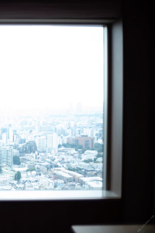 图片[42]-#週刊現代デジタル写真集【寫真文學館】豊田ルナ×Fitzgerald「The Great Gatsby」(2023-12-27) - 全本免费在线观看-阅图吧