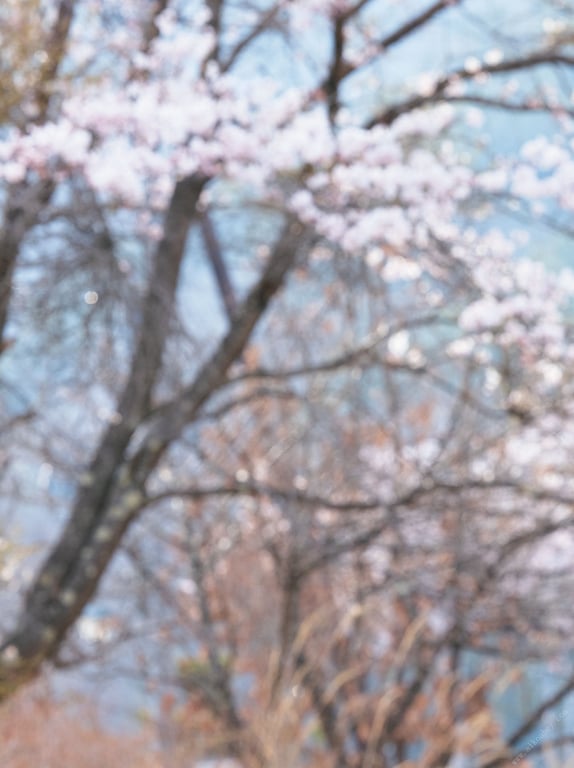 图片[103]-#新藤まなみ写真集『Ｑｕｅｅｎｓ』 - 全本免费在线观看-阅图吧