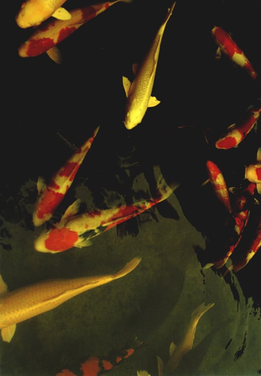 图片[112]-#(月刊シリーズ 057) – 月刊057 佐藤珠绪Special - 全本免费在线观看-阅图吧