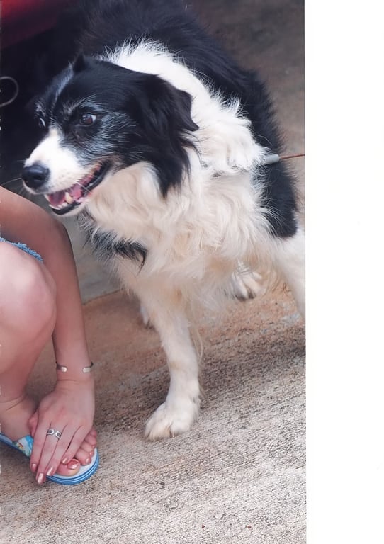 图片[25]-#小川堇 – Lingerie Complex NEXT TYPE - 全本免费在线观看-阅图吧