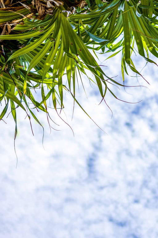 图片[123]-#蜃気楼 河合明日奈【ヌード写真集】 - 全本免费在线观看-阅图吧