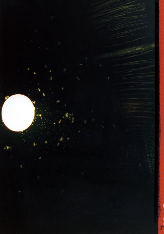 图片[46]-#釈由美子 – CHAOS - 全本免费在线观看-阅图吧