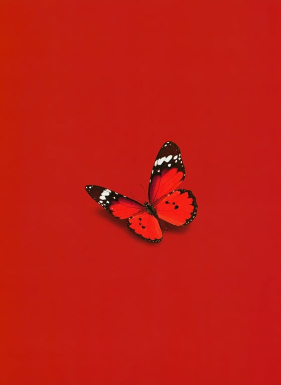 图片[18]-Miyawaki Sakura Graduation Visual Booklet - SAKURA - 在线免费观看-阅图吧