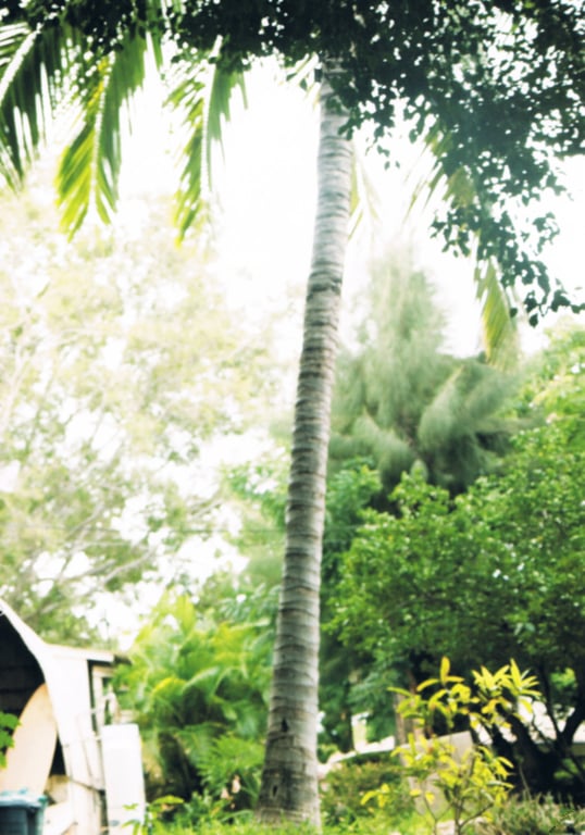 图片[101]-#河西智美ファースト写真集『灼けた』 - 全本免费在线观看-阅图吧