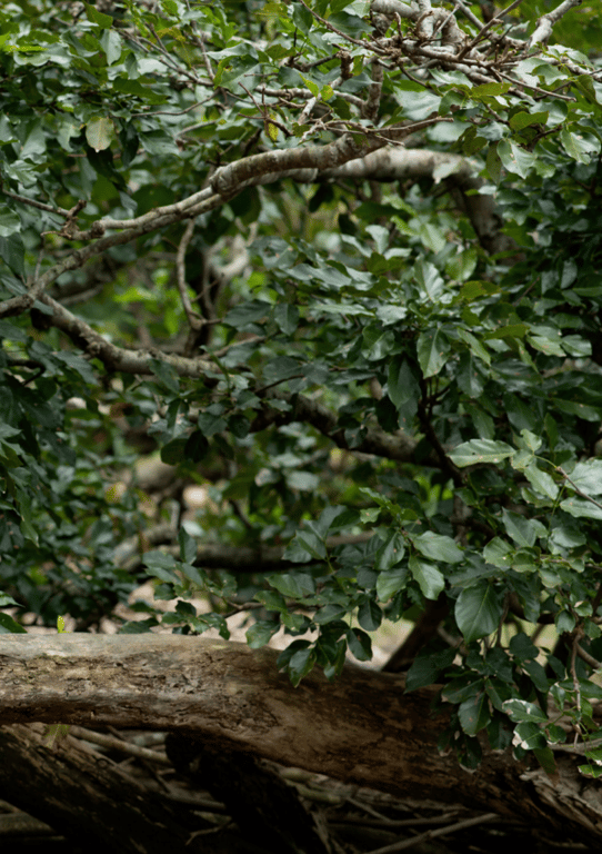 图片[20]-アンナ デジタル写真集「惚れる」(alarm) - 在线免费观看-阅图吧