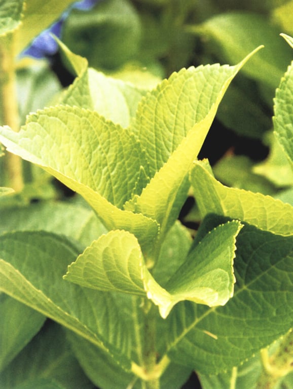 图片[88]-#小仓优子 – 优Q天国 - 全本免费在线观看-阅图吧