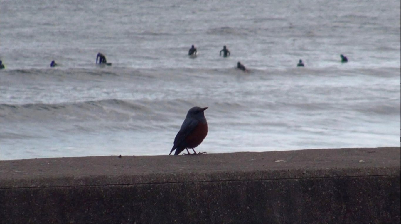 图片[116]-#美熟女纪录片 风间由美的全部 - 全本免费在线观看-阅图吧