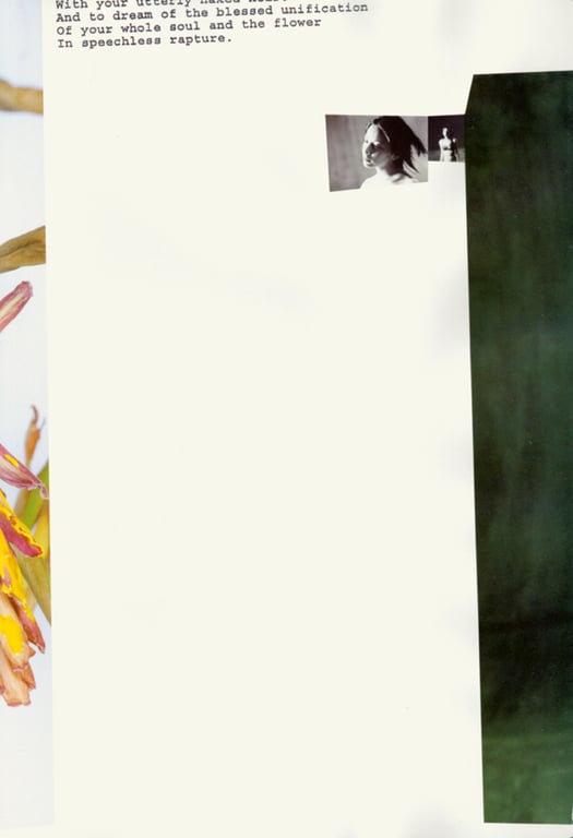 图片[99]-#(月刊シリーズ 050) – 月刊050 奥菜惠 SP - 全本免费在线观看-阅图吧