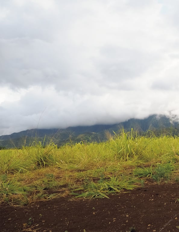 图片[122]-2019.09.20 Masquerade -假面舞会- 葵司 アサ芸SEXY女演员写真集 - 在线免费观看-阅图吧