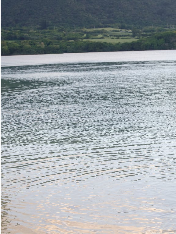 图片[134]-#Miho Machiyama 街山美穗 – Eden (2022-02-25) - 全本免费在线观看-阅图吧