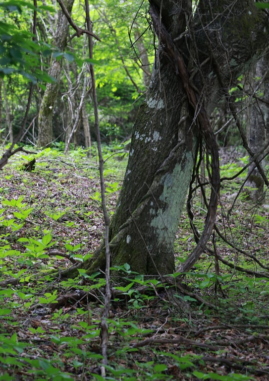 图片[93]-#週刊POST Digital写真集 8woman Last Dance JEWELS - 全本免费在线观看-阅图吧