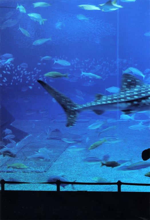 图片[94]-#松浦亚弥 – 真是！楚楚动人 - 全本免费在线观看-阅图吧