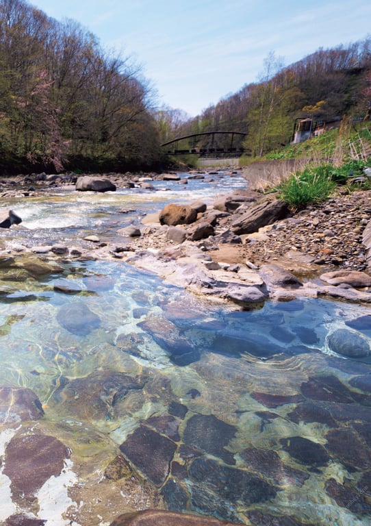 图片[59]-#Mizuto Sakura 水户樱 “Ecstatic” (2019.08.23) - 全本免费在线观看-阅图吧