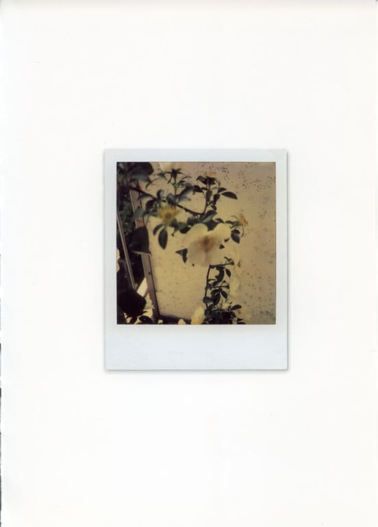 图片[113]-#未向 – LOVE POLA - 全本免费在线观看-阅图吧