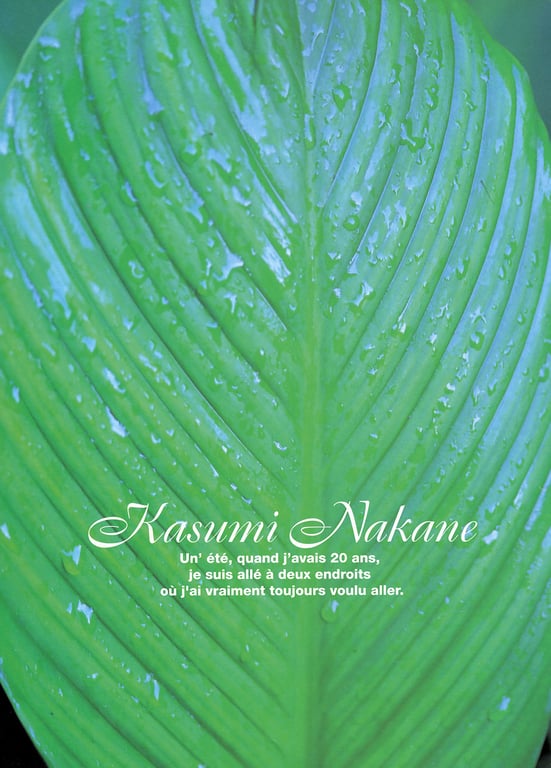 #仲根霞 – YOUNG SUNDAY SPECIAL GRAPHIC VOL. 2 - 全本免费在线观看-阅图吧