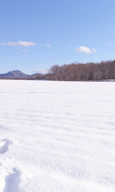 图片[155]-WPB 小宫有纱数字写真集～特装合本版～ 週プレ PHOTO BOOK (2019-03-25) - 在线免费观看-阅图吧