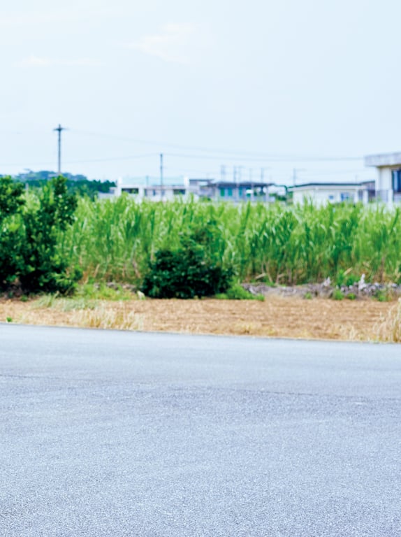 图片[112]-#Miyu Kitamuki 北向珠夕 – Koiyu 恋夕 (2020-12-04) - 全本免费在线观看-阅图吧