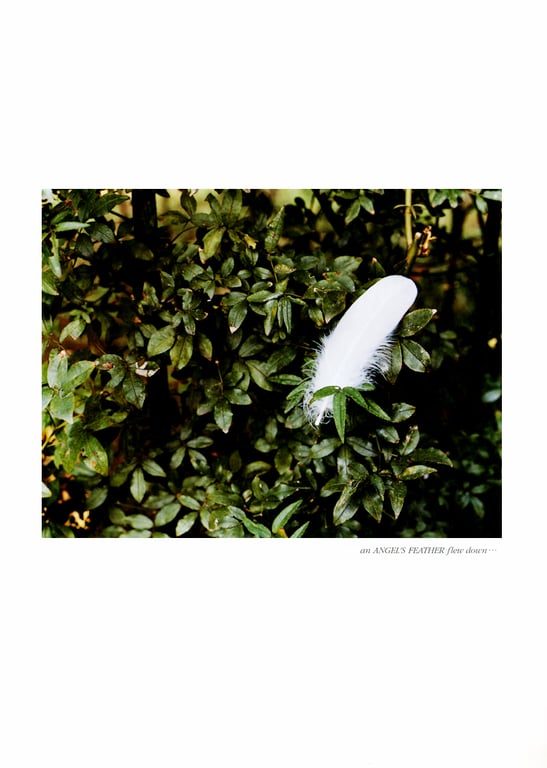 图片[10]-#深田恭子meets天使(映画『天使』Photo Making Book) - 全本免费在线观看-阅图吧