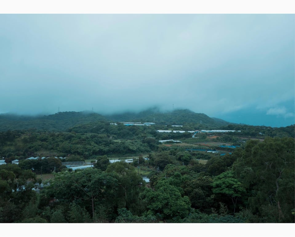 图片[15]-うたたね翠と一泊二日の沖縄旅行へ行ってきました (wunder publishing house) - 在线免费观看-阅图吧