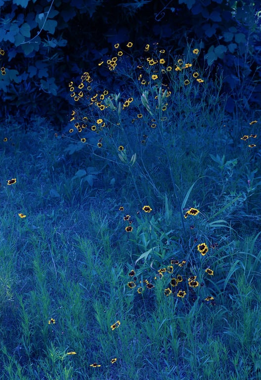 图片[79]-#2023.05.22 安斋拉拉 La La La Love shock 周刊Post数字写真集 - 全本免费在线观看-阅图吧