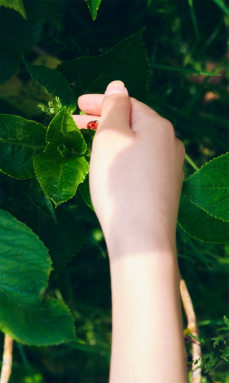 图片[48]-#【数字限定】工藤美樱写真集「夏之扉」 週プレ PHOTO BOOK - 全本免费在线观看-阅图吧