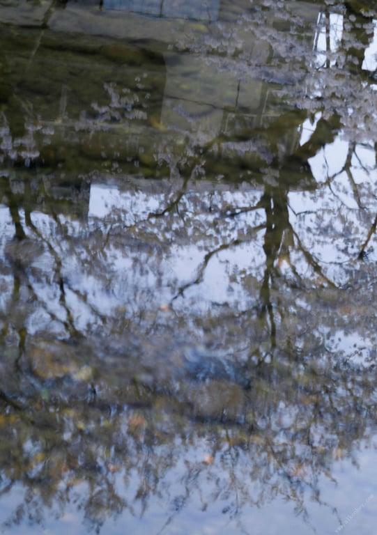 图片[85]-被夺走 小仓七海 - 在线免费观看-阅图吧