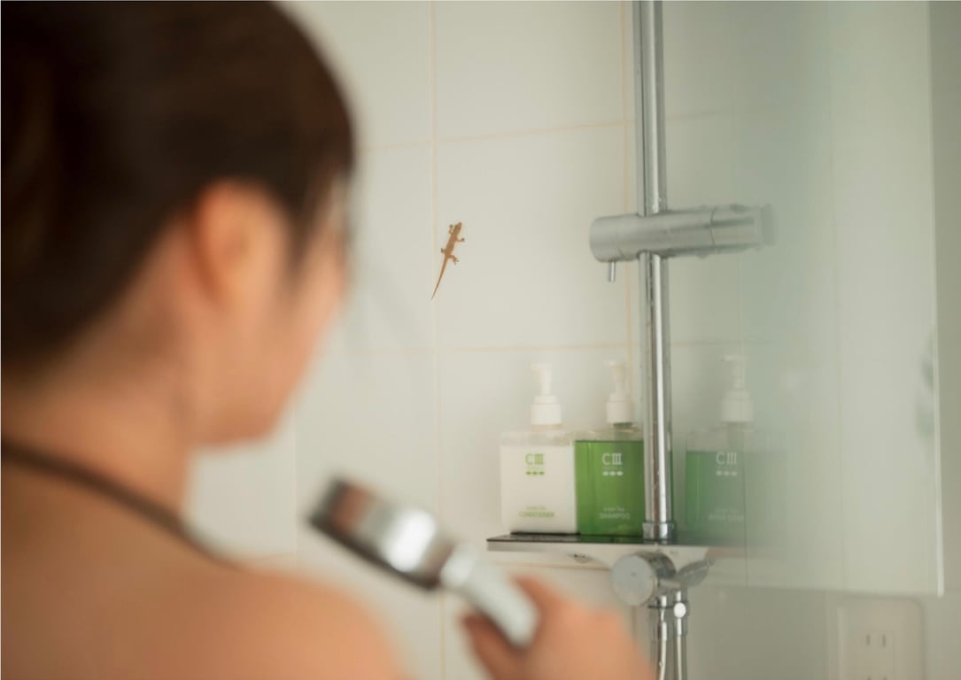 图片[101]-九十九ぱて 1st e-book 来这边？(wunder publishing house) - 在线免费观看-阅图吧