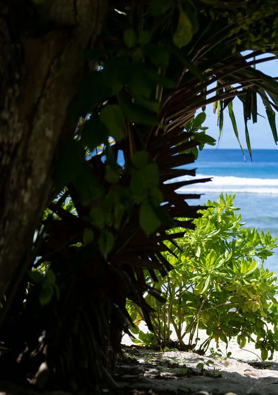 图片[3]-#橋本有菜 デジタル写真集「Awaking」EPISODE ：2 - 全本免费在线观看-阅图吧