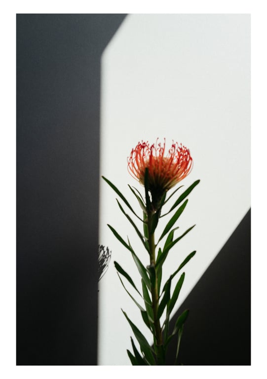 图片[2]-#山岸逢花 デジタル写真集 とられち(No Watermark) - 全本免费在线观看-阅图吧