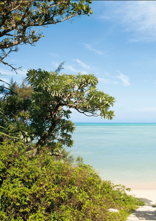 图片[4]-#神宮寺奈绪 写真集「Muse」(alarm) - 全本免费在线观看-阅图吧