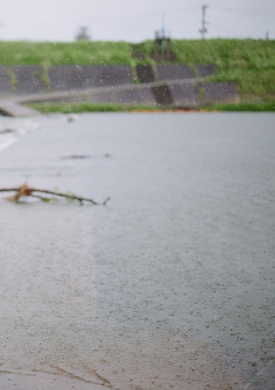 图片[21]-#高田里穗写真集「完成了的未完成 另一版本」 週プレ PHOTO BOOK() - 全本免费在线观看-阅图吧