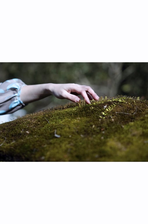 图片[34]-#謎の美女17『一片之舞』ファースト写真集 - 全本免费在线观看-阅图吧