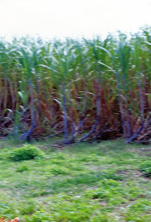 图片[85]-#松浦亚弥 – 真是！楚楚动人 - 全本免费在线观看-阅图吧