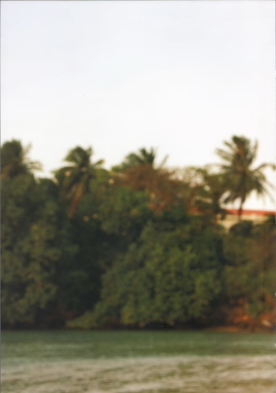 图片[89]-#熊井友理奈写真集 FLOWERAGE (2009.07.25) - 全本免费在线观看-阅图吧