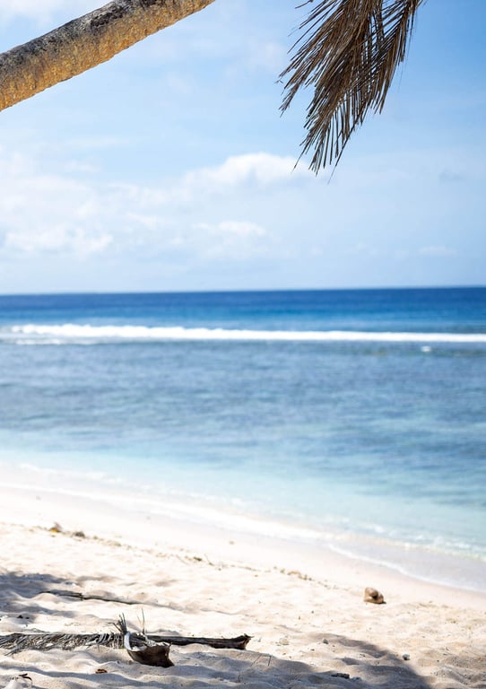 图片[4]-#橋本有菜 デジタル写真集「Awaking」EPISODE ：2 - 全本免费在线观看-阅图吧