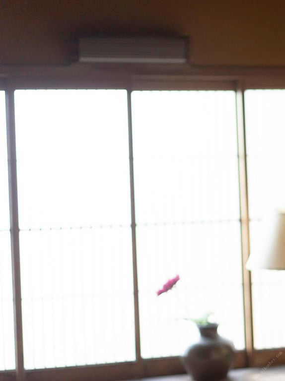 图片[187]-#七菜乃 裸体写真集『 Dream 』 - 全本免费在线观看-阅图吧