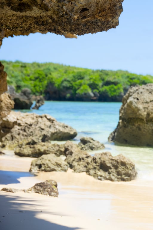 图片[41]-#Riho Fujimori 藤森里穂 Eden 伊甸 (2021.11.12) - 全本免费在线观看-阅图吧