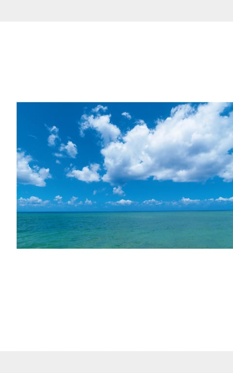 图片[98]-#Marina Nagasawa 长泽茉里奈 & Seera Nagasawa 长泽圣爱 – W pocchi (2022-11-18) - 全本免费在线观看-阅图吧