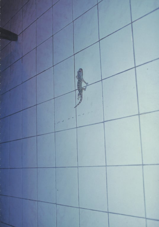 图片[74]-#釈由美子 – CHAOS - 全本免费在线观看-阅图吧