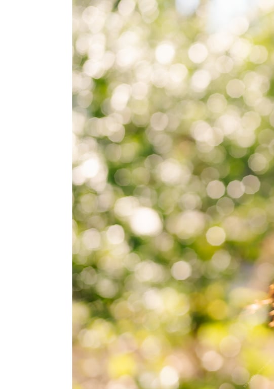 图片[42]-#NEWLOOK【girl meets street】枫可怜 - 在线免费观看-阅图吧