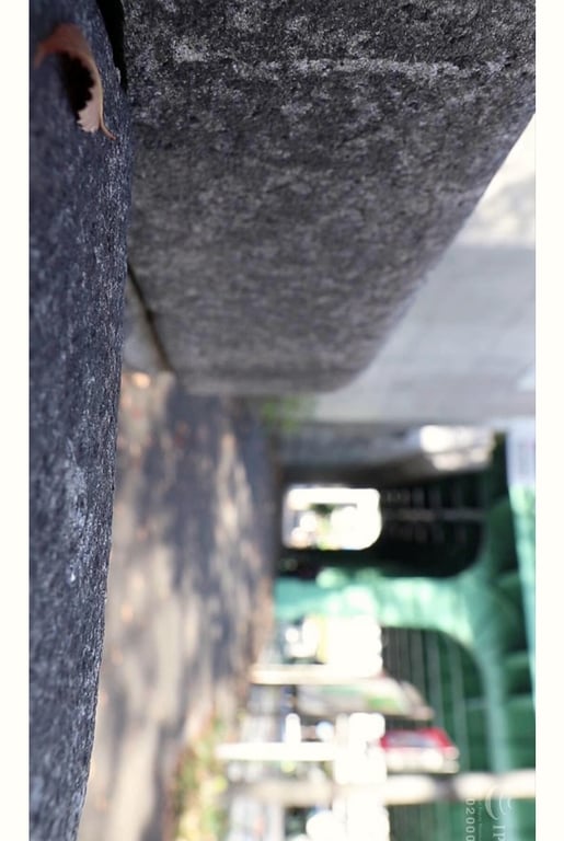 图片[40]-シェリーストーリー写真集 鈴木真夕 vol.1 wild beast - 在线免费观看-阅图吧